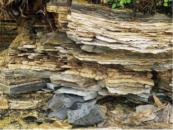 页岩陶粒砂生产线设备有哪些？